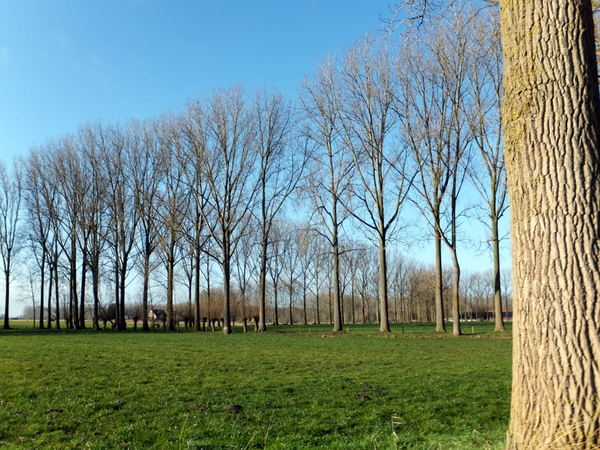 02-mooie natuurwandeling..