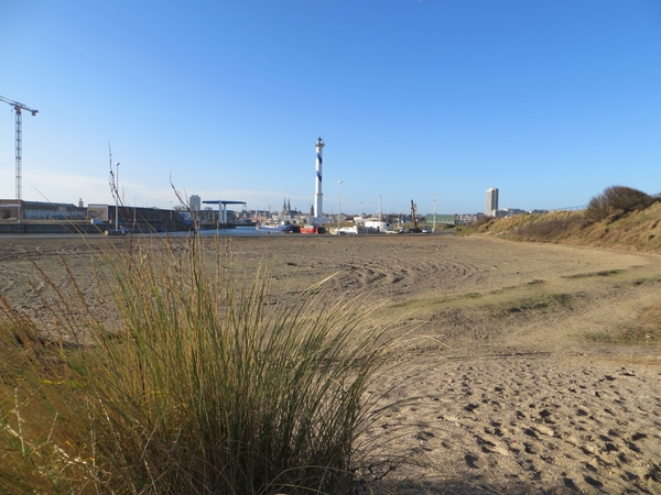 2014-02-16 Oostende11