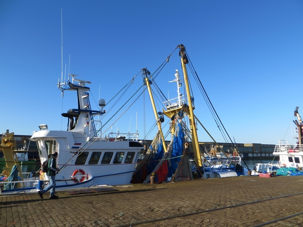 2014-02-16 Oostende13