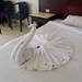 SAM_0602