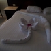 SAM_0691