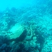 SAM_0648