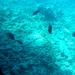 SAM_0656