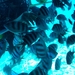SAM_0688