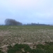2014-02-19 Sint-Goriks-Oudenhove 01