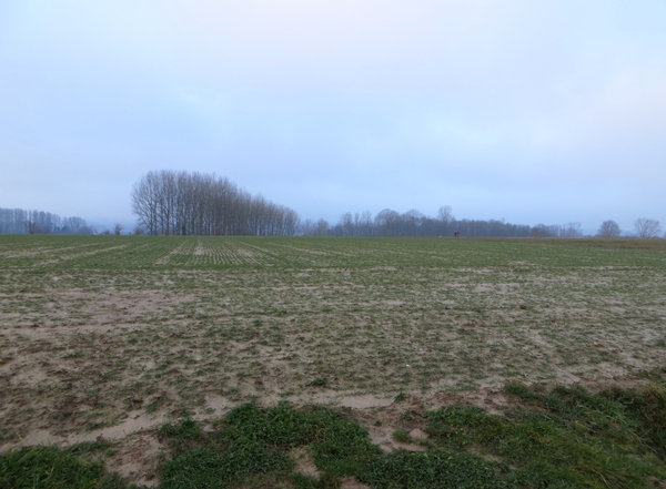 2014-02-19 Sint-Goriks-Oudenhove 01