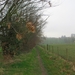 2014-02-19 Sint-Goriks-Oudenhove 11