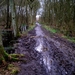 Wet,wet,wet
