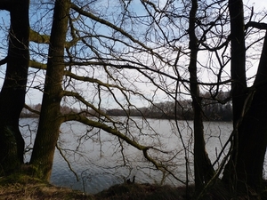 29-Natuurdomein Hoofsweer