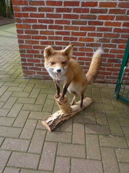 62-Tentoonstelling in de Oude Pastorie