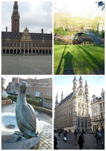 2014-02-21 leuven 2