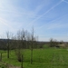 2014-02-24 Sint-Genesius-Rode 13