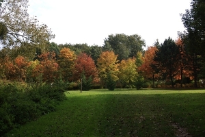 HERFSTKLEUREN