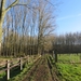 2014-03-02 Borsbeke 007