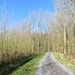 2014-03-02 Borsbeke 021