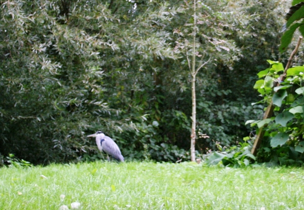 081003 5 08 amiens hortillonnages