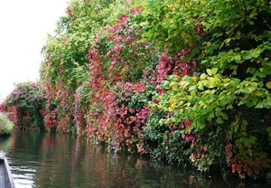 081003 5 12 amiens hortillonnages