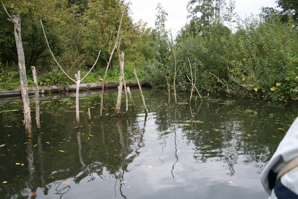 081003 5 30 amiens hortillonnages