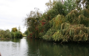 081003 5 38 amiens hortillonnages