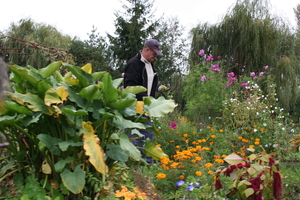 081003 5 59 amiens hortillonnages