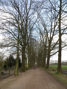 2014-03-02 Zoersel 007