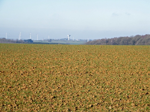 marche Walcourt Les Godasses de Fraire NA051