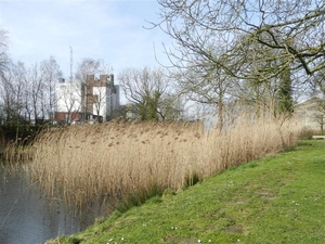 20140223.Deinze 036 (Medium)