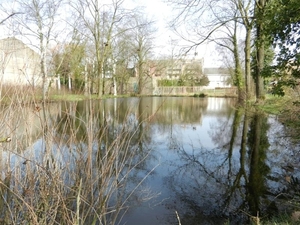 20140223.Deinze 041 (Medium)