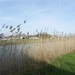 20140223.Deinze 044 (Medium)