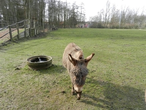 20140223.Deinze 051 (Medium)