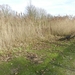 20140223.Deinze 093 (Medium)