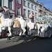 017 Aalst Carnaval 2.02.2014