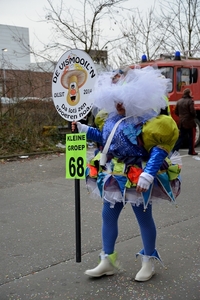 161 Aalst Carnaval 2.02.2014