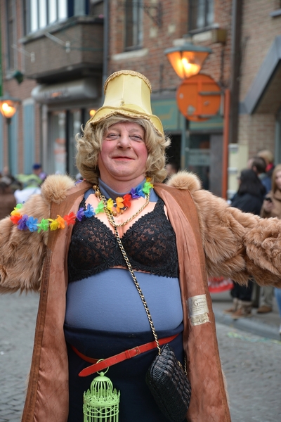 247  Aalst Carnaval - Voil Jeannetten  4.02.2014