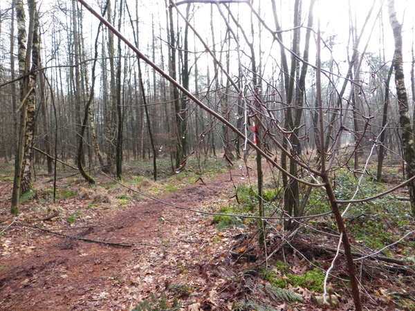 2014-03-04 Ruiselede 16