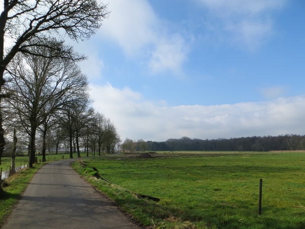 2014-03-04 Ruiselede 22