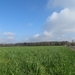 2014-03-04 Ruiselede 24