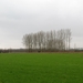 2014-03-04 Wetteren 01