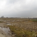 2014-03-04 Wetteren 02