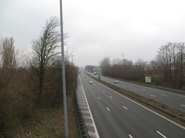 2014-03-04 Wetteren 05
