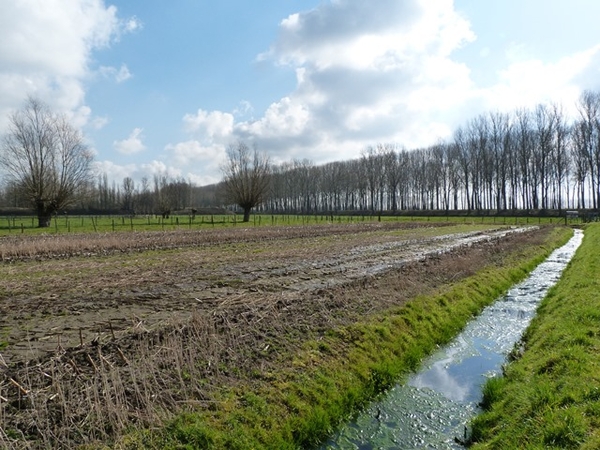 27-Waterpolders