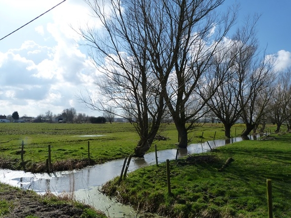 34-Maldegemse polders