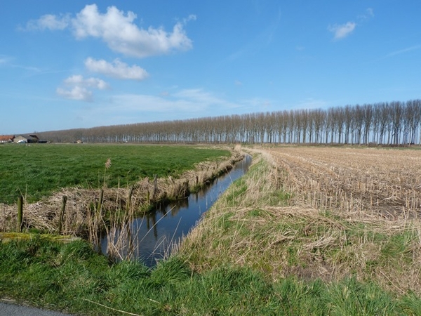 56-Terug langs polders van Moerkerke