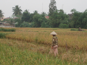 Vietnam 2006 063