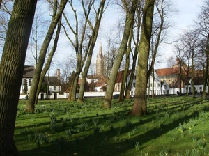 Brugge Februari 2014 029