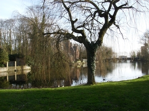 Brugge Februari 2014 032