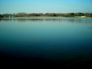 Rond de plas
