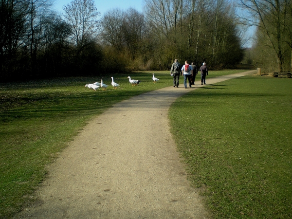 zonnekloppers