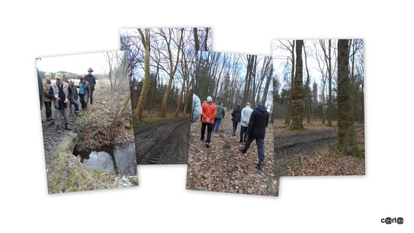 08-2014-03-04 JanMed Mol7