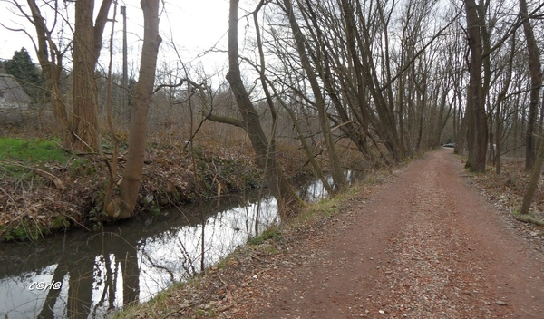 2014-03-04 JanMed Mol (10)